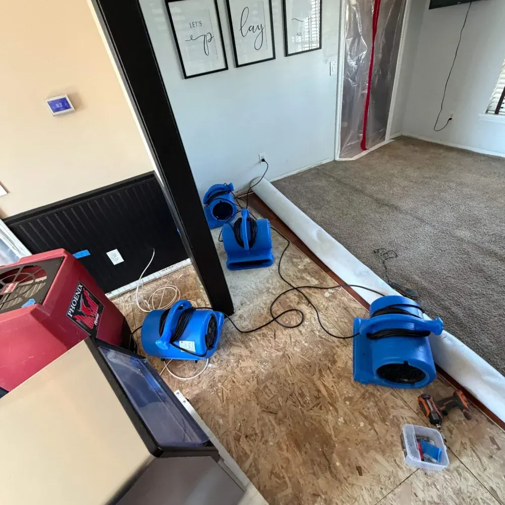 IICRC certified drying setup in Jennings County, IN